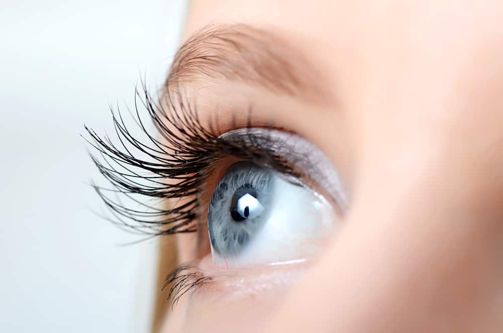 Mengenal Bagian Mata Dan Fungsinya Retina Iris Hingga Lensa Mata